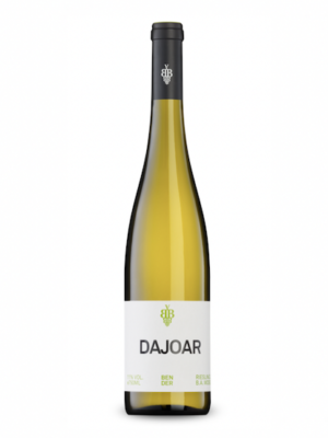 Dajoar, 2025 Bender, Mosel, Tyskland
