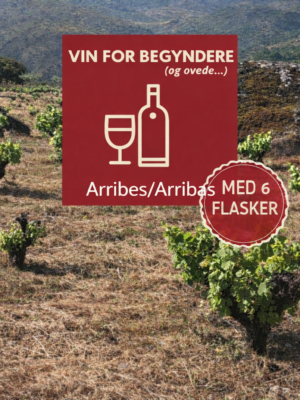 Vin for Begyndere: Arribes/Arribas - 19. feb. 2026 - den store kasse med de 6 flasker