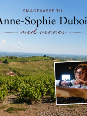 Velkommen til Anne-Sophie Dubois