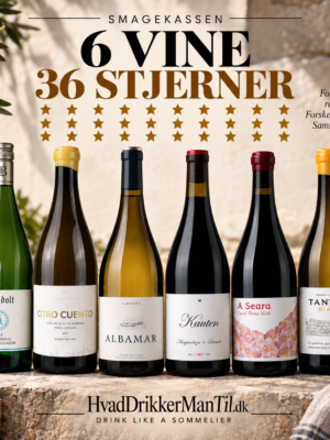36 stjerner & 6 vine - super anmeldte vine som tager dig med storm